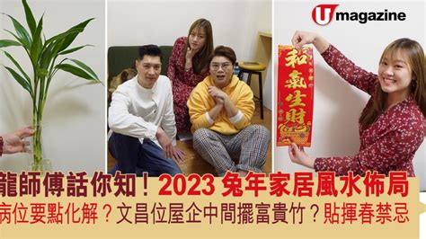 2023富貴竹方位|2023兔年風水佈局｜新年6大簡易家居/辦公室風水